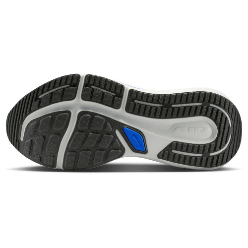 Nike Winflo 12